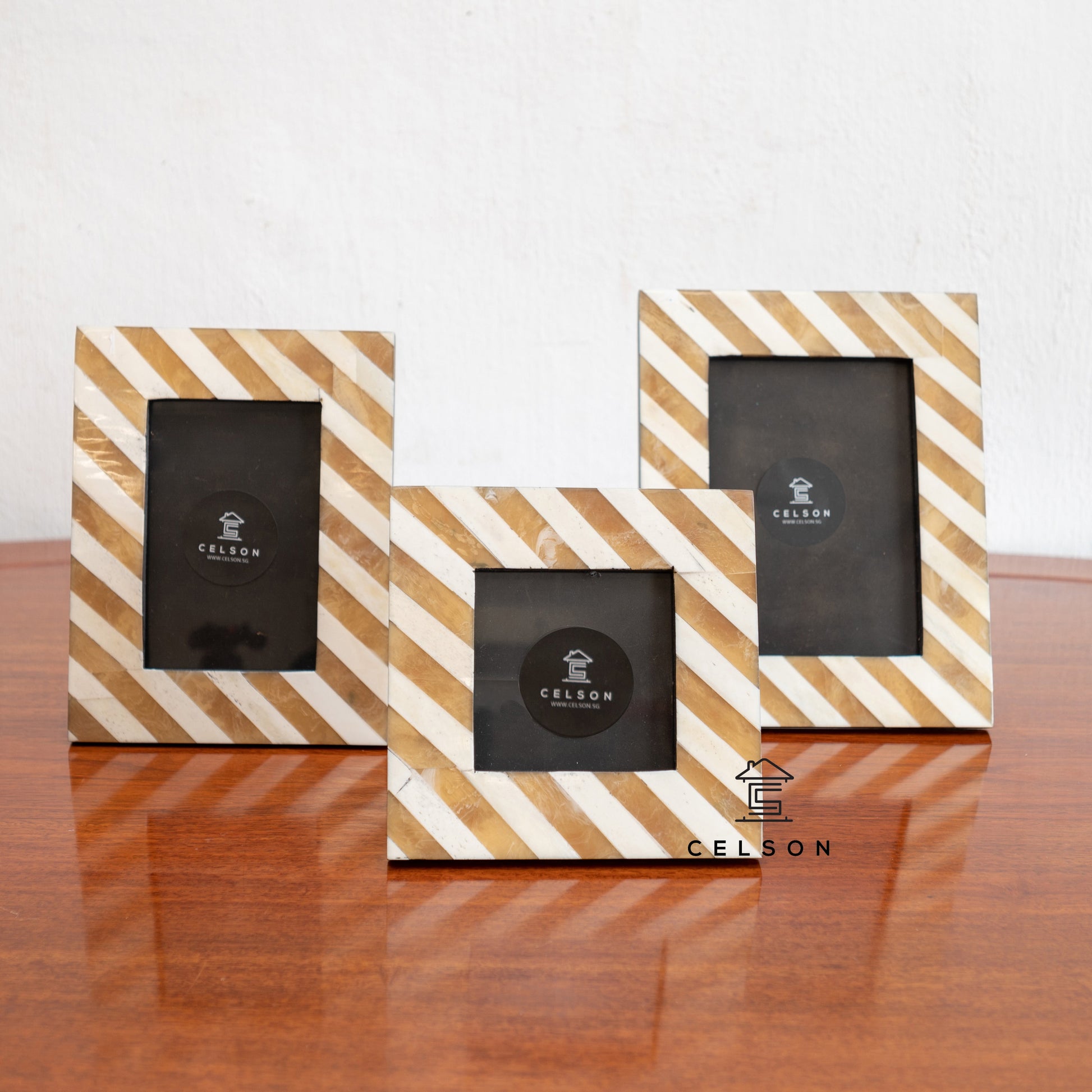 Roger Bone/Horn Inlay Photo Frame