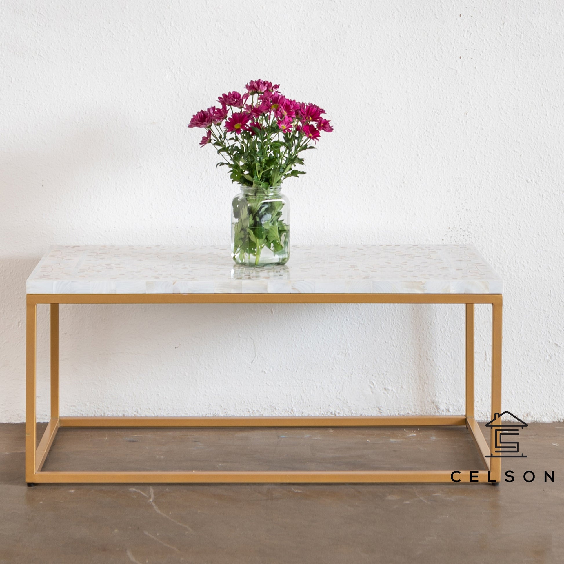 Karol Mother of Pearl Inlay Coffee Table