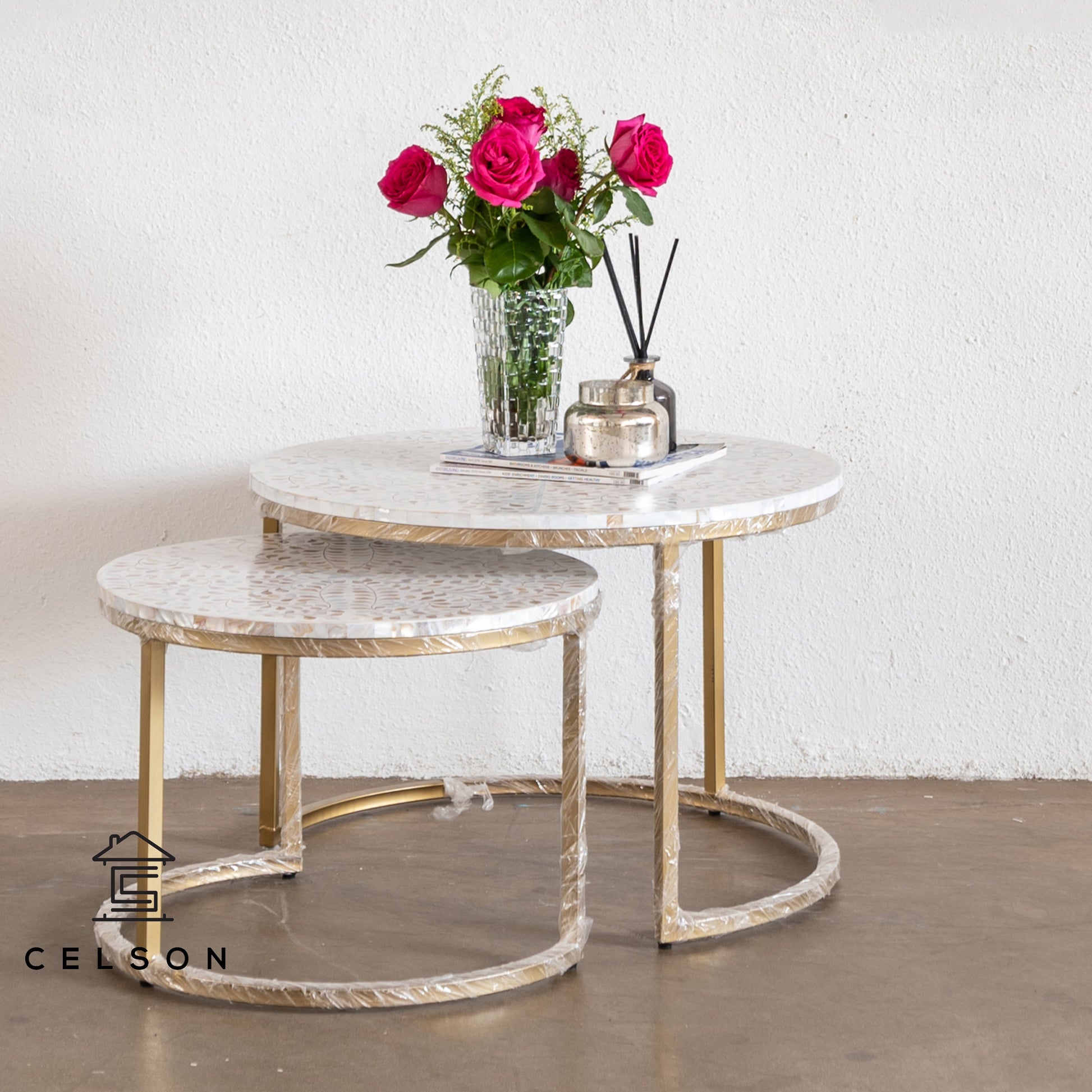 Isha Mother of Pearl Inlay Coffee Table