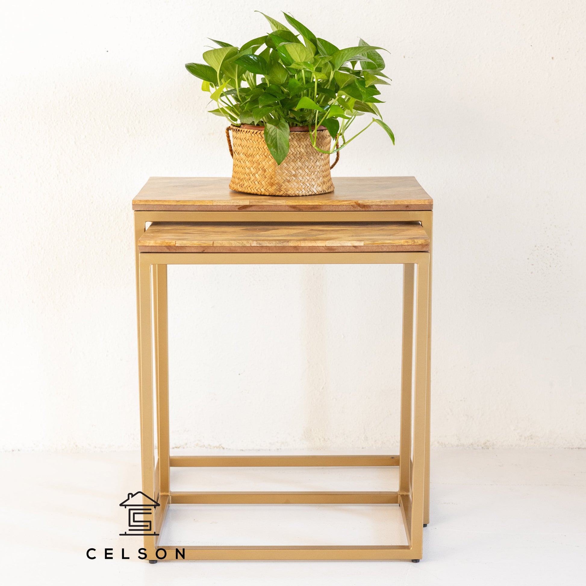 Rian Wooden Nesting Table Set