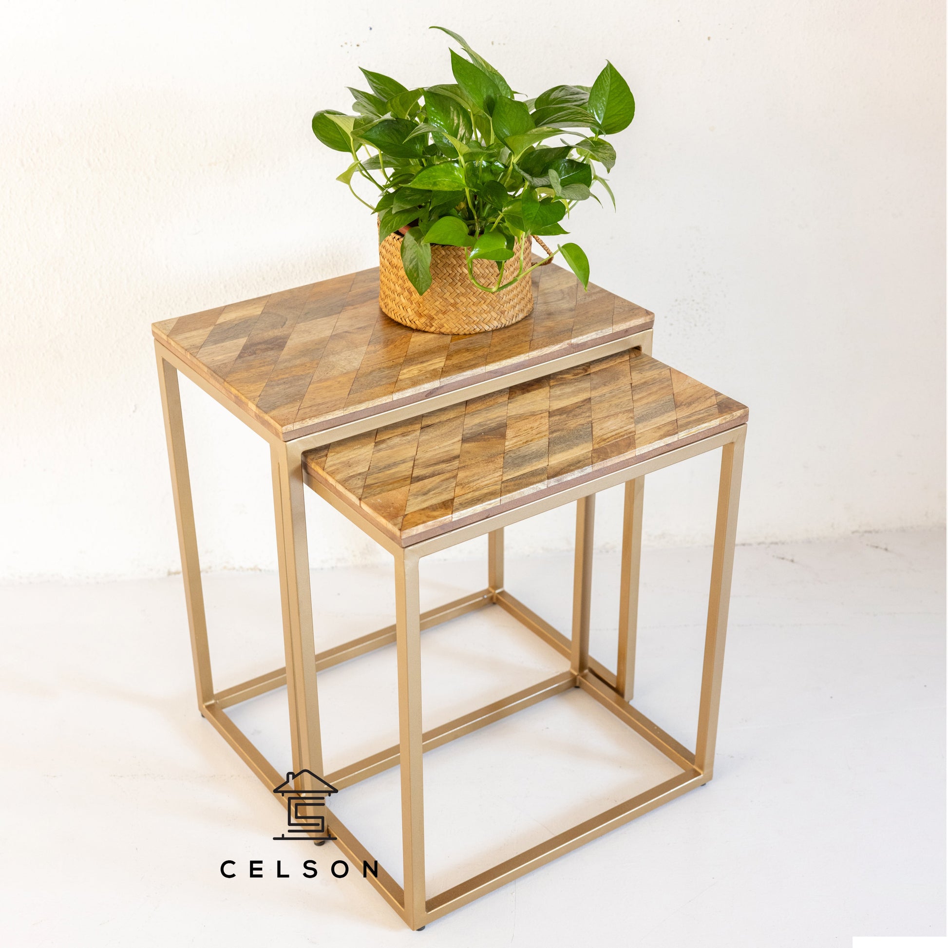 Rian Wooden Nesting Table Set