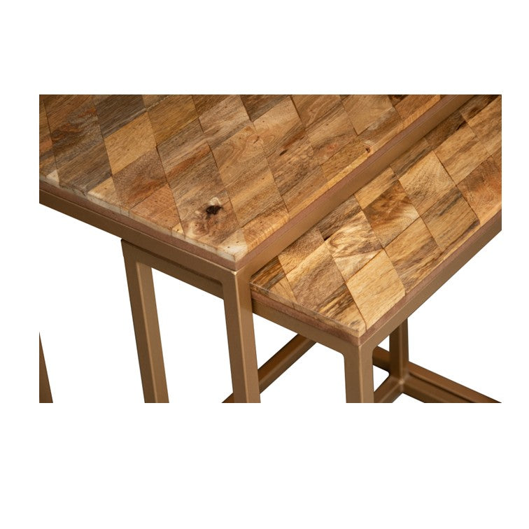 Rian Wooden Nesting Table Set