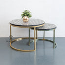Switch Nomaan Bone Inlay Nesting Coffee Table 2 image