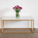 Switch Karol Mother of Pearl Inlay Coffee Table 3 image