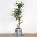 Switch Ted_Bone Inlay Planter_Trash Can_Flower Vase_ 2 image