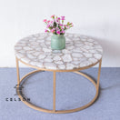 Switch Ivan Agate Coffee Table 1 image