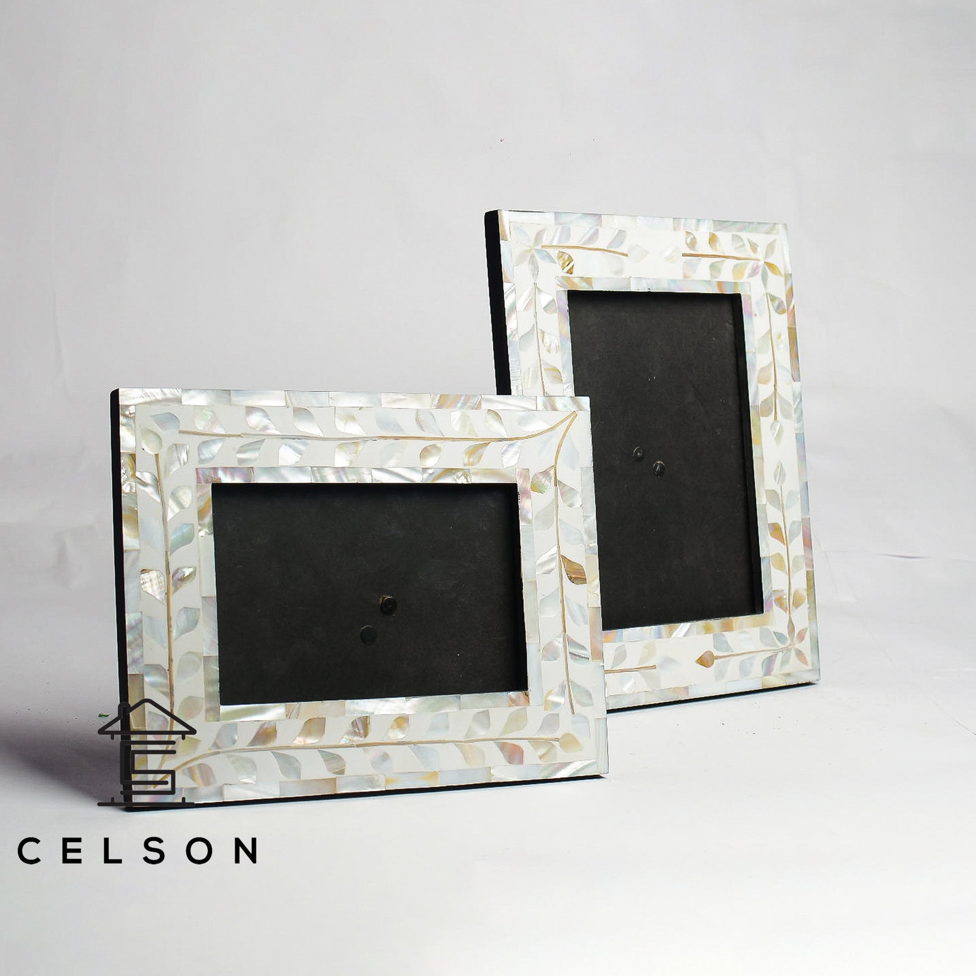 Leo Mother of Pearl Inlay Photo
