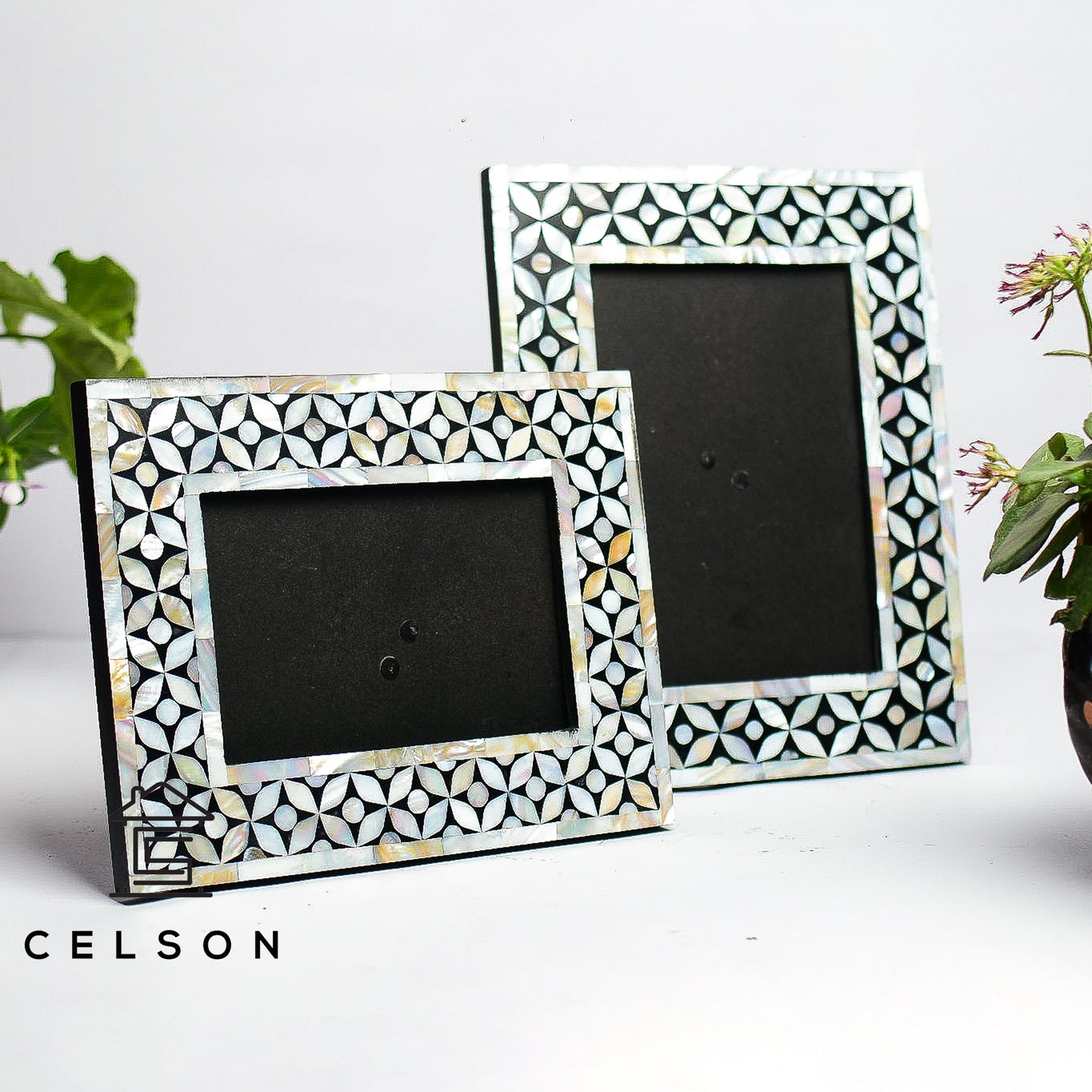 Archie Mother of Pearl Inlay Photo