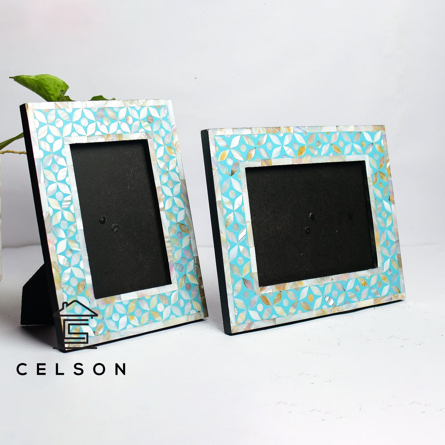 Adam Mother of Pearl Inlay Photo