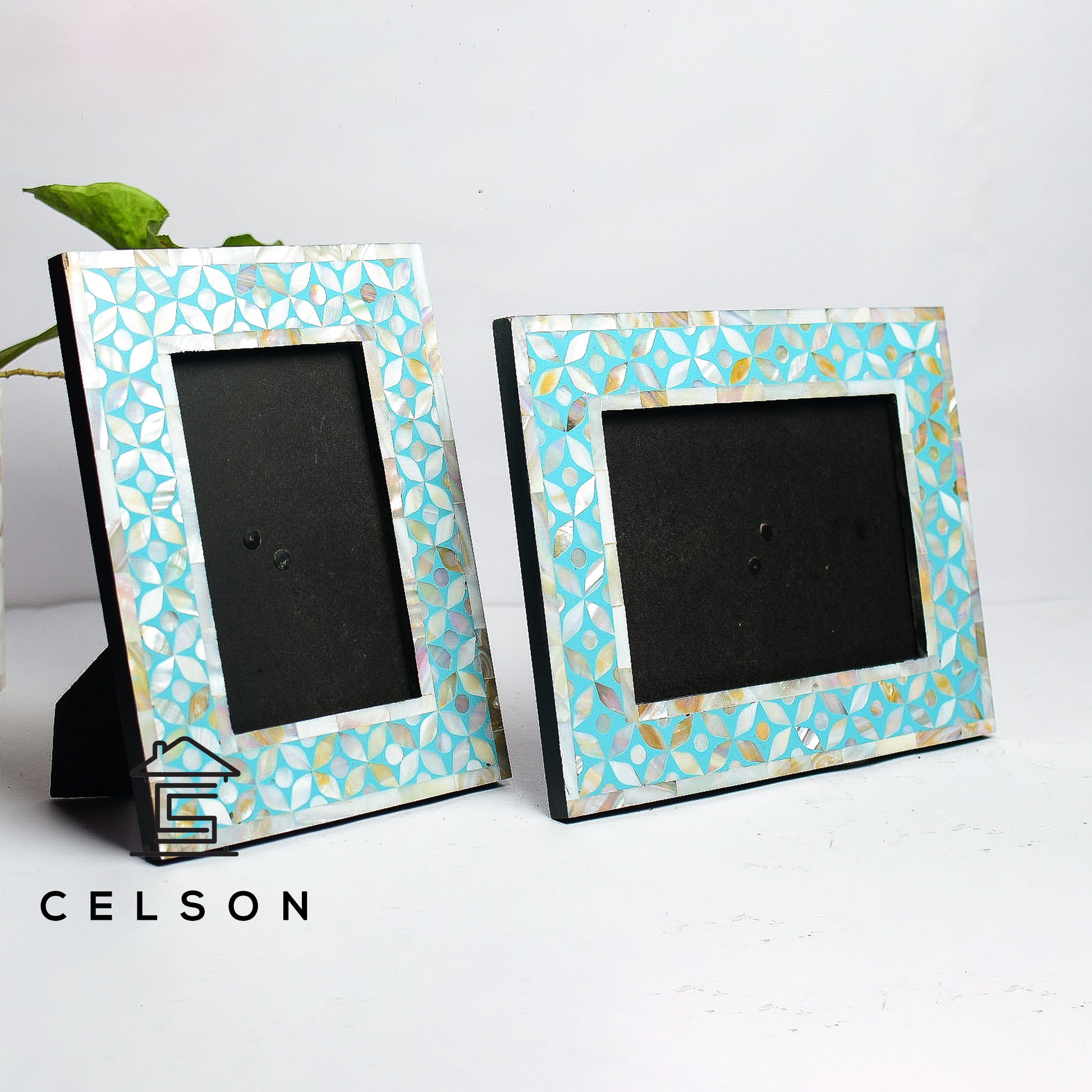 Adam Mother of Pearl Inlay Photo