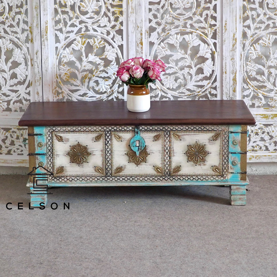 Anika  Vintage Style Brass Fitted Wooden Trunk