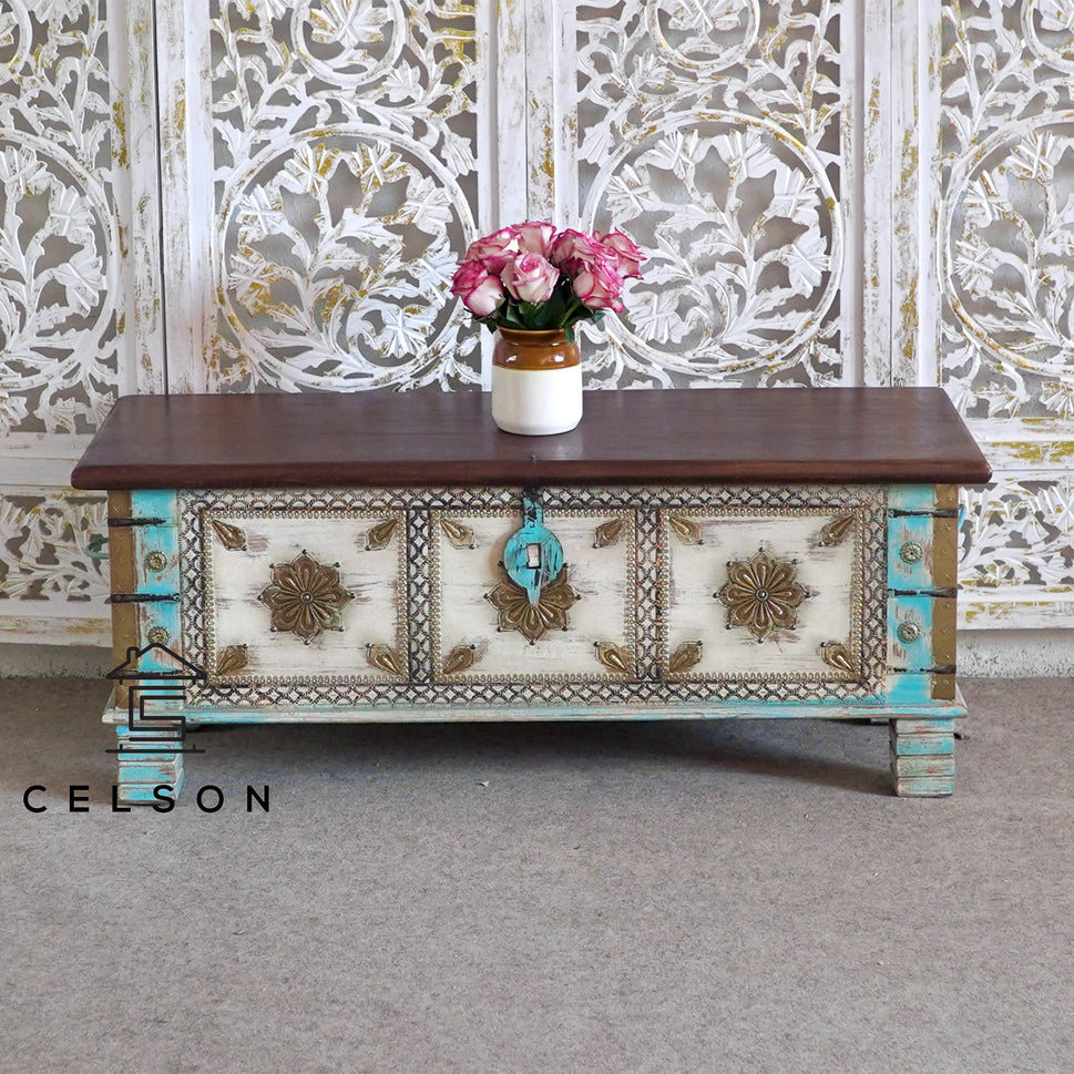 Anika  Vintage Style Brass Fitted Wooden Trunk