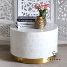 Switch Joy Mother of Pearl Inlay Coffee Table 2 image