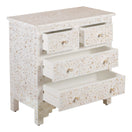 Switch Elsara Mother of Pearl Inlay Chest 3 image