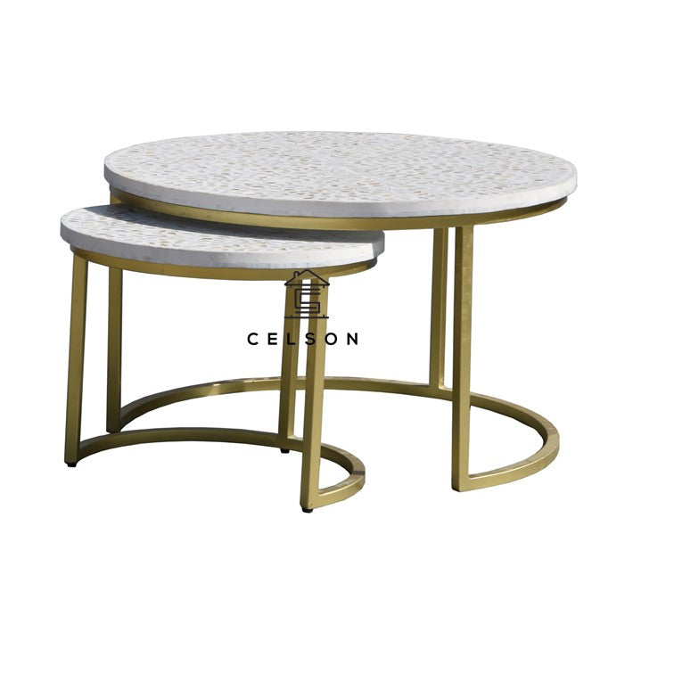 Isha Mother of Pearl Inlay Coffee Table