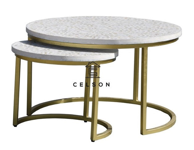 Isha Mother of Pearl Inlay Coffee Table