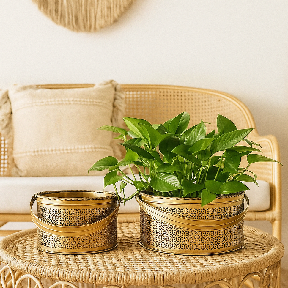 Stella Brass Finish Planter Basket