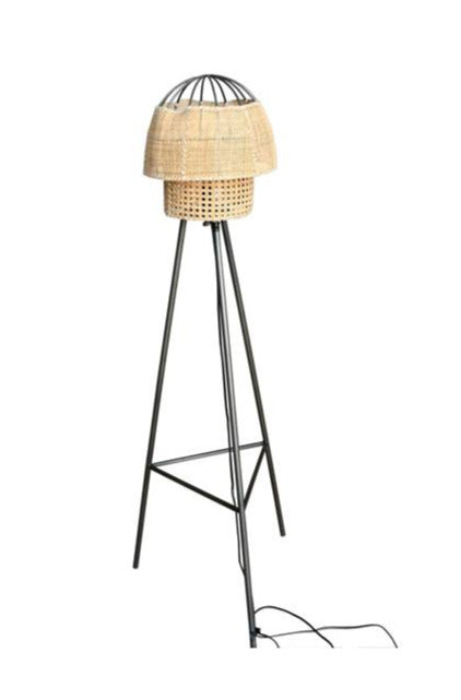Evans Iron and Cane Floor Lamp