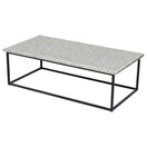 Switch Lina Bone Inlay Coffee Table 2 image